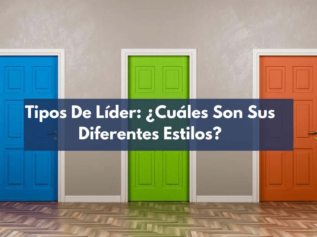 Tipos de Líderes