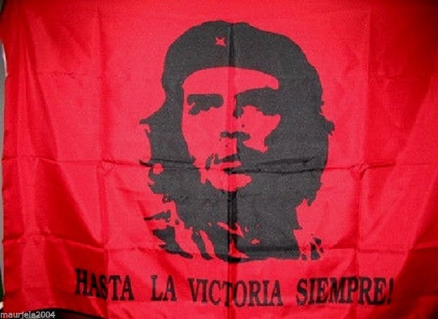 che guevara en accion