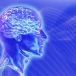 Seres Despiertos: Descubre Las Características De Personas Conscientes Y Su Impacto
